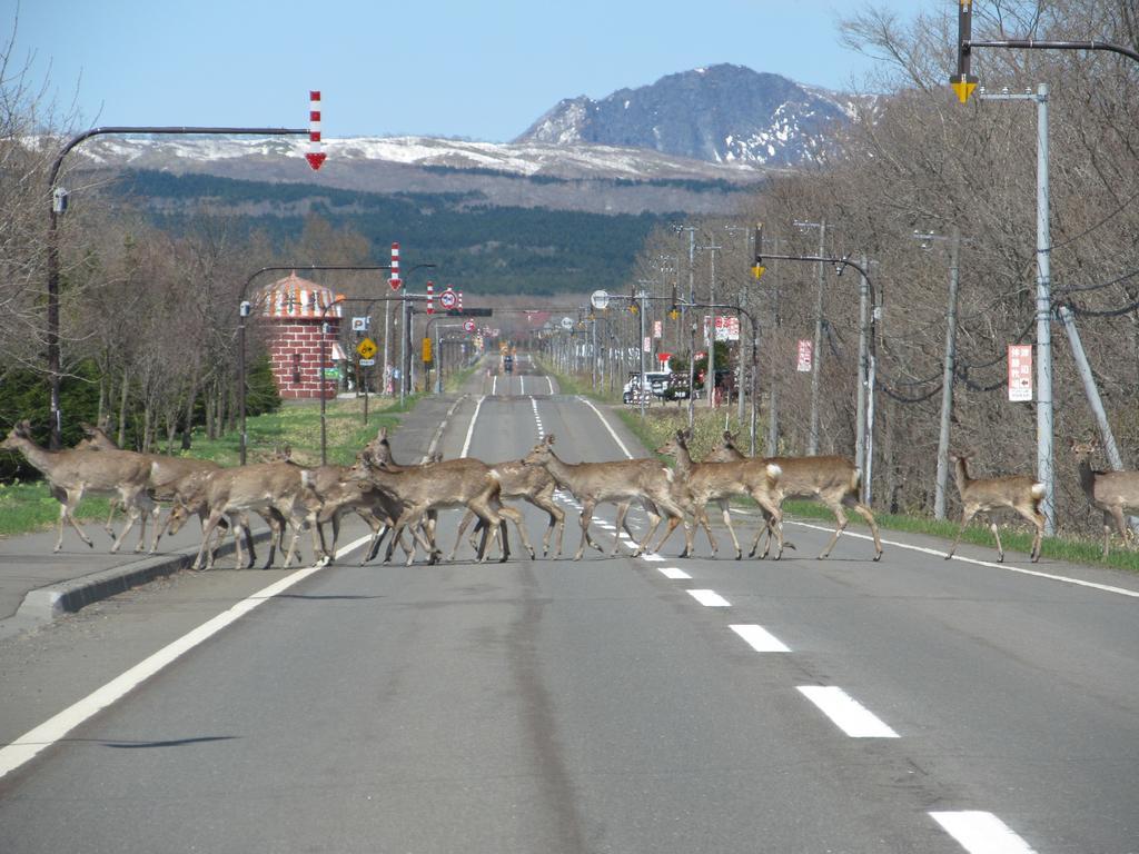 Traveler'S Inn Asanebo Teshikaga ภายนอก รูปภาพ